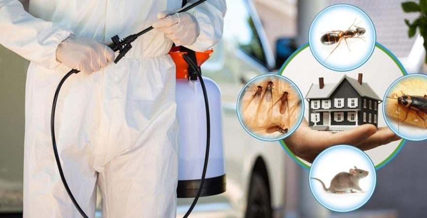 Sarnıç Böcek İlaçlama