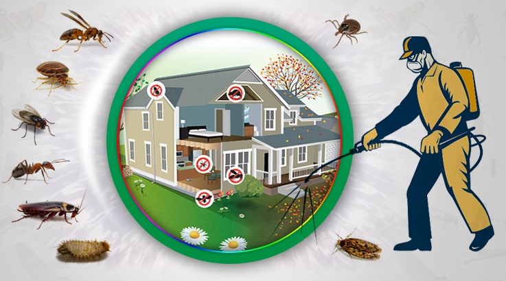 Sarnıç Böcek İlaçlama