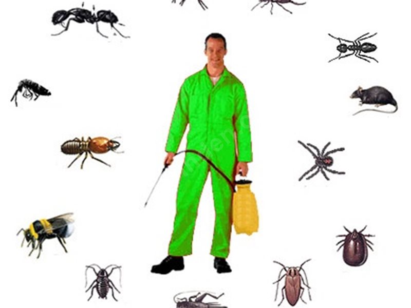 Sarnıç Böcek İlaçlama